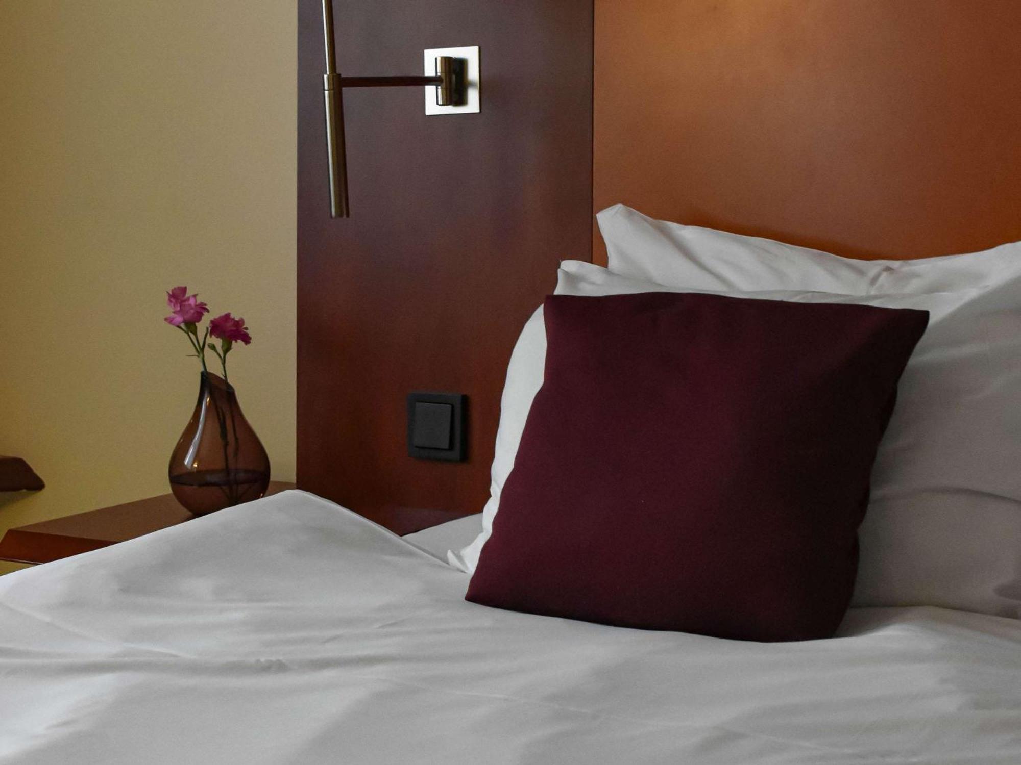 เมอร์เคียว โอโปเล Hotel ออปอเล ภายนอก รูปภาพ